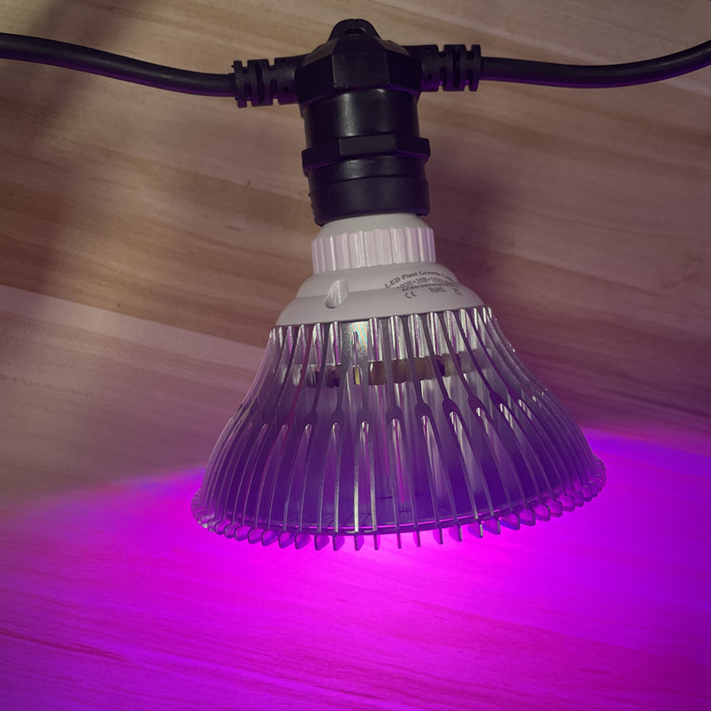 10 m langes LED-Kabel, wasserd – Outdoor Lighting Effects Bewertung und Preis